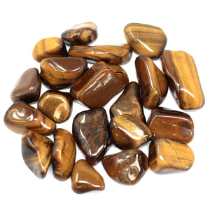 Tigers Eye - Golden